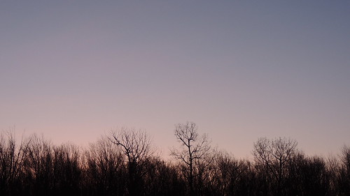 trees sky tree sunrise landscape vermont pastel gradient colchester vt