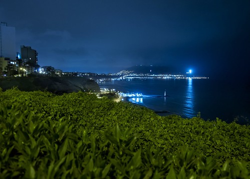 miraflores lima peru plants light foliage night sea reflection 2014 landscape skyline cityscape sky