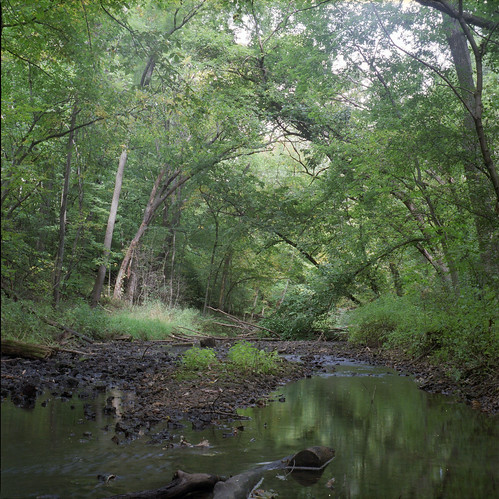 trees water wisconsin flowing canopy yashica yashicamat124 rockcounty carverroehl