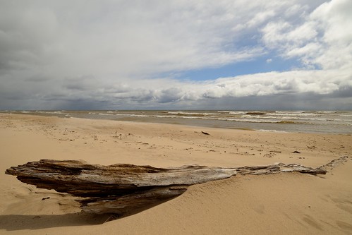 beach clouds nikon lakemichigan driftwood beachwood 18mm cloudbreak d600 devilducmike