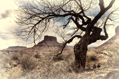 nature landscape utah moab timeless professorvalley theriverroad tpslandscape