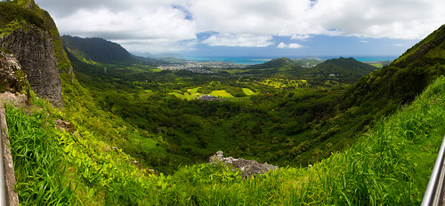 trees panorama mountains green grass landscape hawaii coast oahu valley lush palilookout