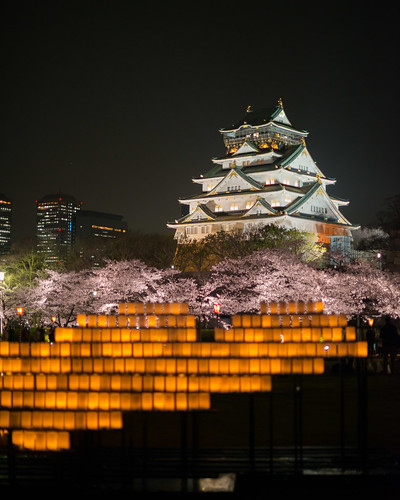 park castle japan architecture night cherry landscape 50mm spring high nikon candles blossom f14 iso sakura osaka hanami 2013 d800e