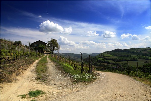 blue sky italy clouds landscape vineyard italia nuvole blu country vine campagna piemonte cielo piedmont vigne paesaggio vino langhe langa viti maranzamax
