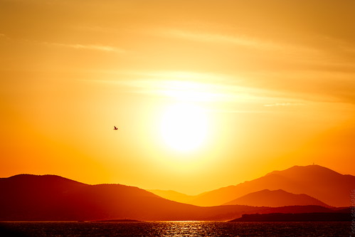 sunset sea sky orange seascape black bird yellow published flight greece aegina piraeus peloponnese peiraiki canon70200f28lisusm freatida canoneos6d ayearofpictures2013