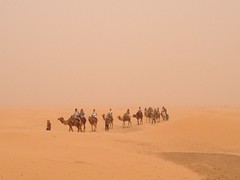 The Sahara near Ksar Ghilane (الصحراء حول قصر غيلان)