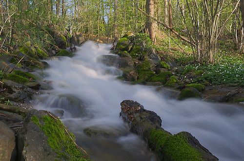 wood longexposure trees water creek austria klagenfurt treimischer