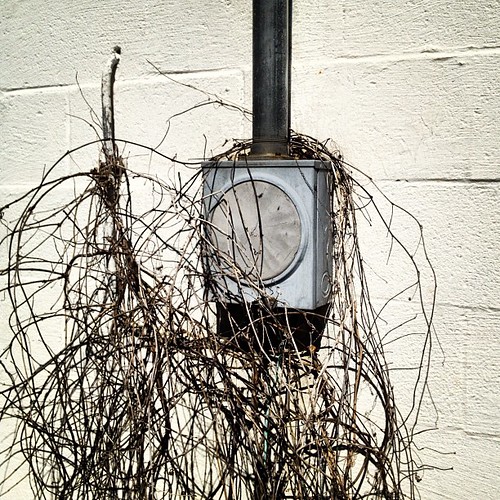 overgrown square vines lofi squareformat electricity electrical iphoneography instagramapp uploaded:by=instagram