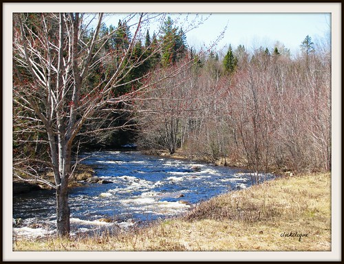 blue trees red water river spring buds flowing papineauriver