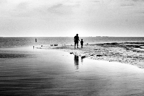 ocean bw reflection beach gulfofmexico birds sand florida father son sunsetbeach fatherandson tarponsprings bwphoto