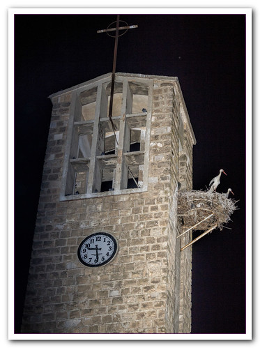 2016 cigüeña noche alera torre