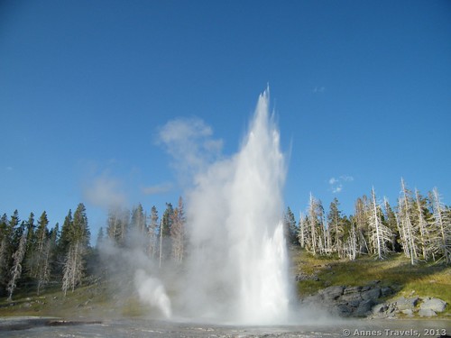 Grand Geyser in Yellowstone National Park, Wyoming