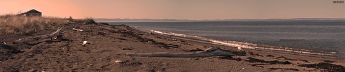 beach water evening sand waves wave driftwood newbrunswick baiedeschaleur
