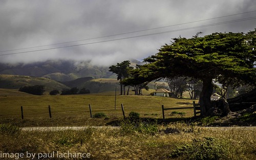 california ranch tree fog clouds landscape coast meadow canonef24105f4l