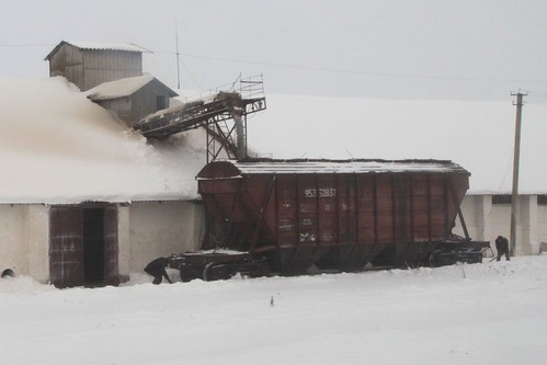 Loading grain wagons at a Ukrainian silo