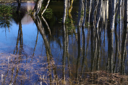 reflection water spring estonia pentax vesi eesti tuhala kevad k7 harjumaa peegeldus pentaxk7 kosevald
