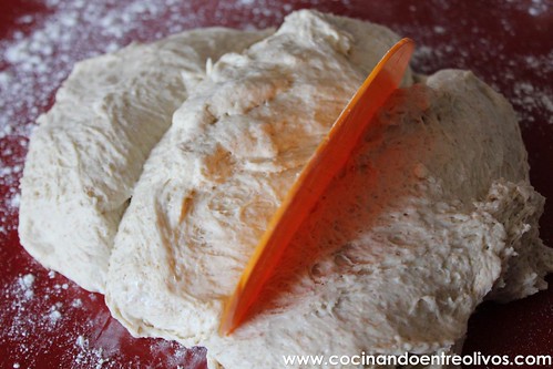 Pan de molde integral www.cocinandoentreolivos (13)
