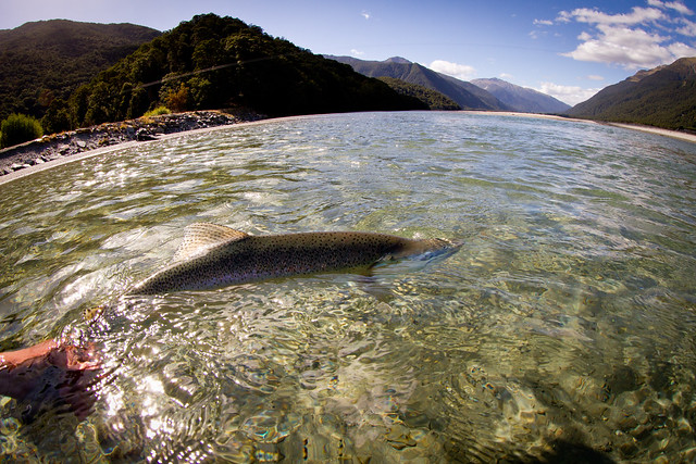 New Zealand Fly Fishing guides