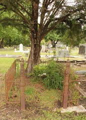 Grave behind fence