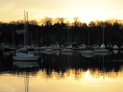 trees sunset ny newyork seascape water silhouette sailboat boats suffolk huntington longisland saltwater huntingtonharbor