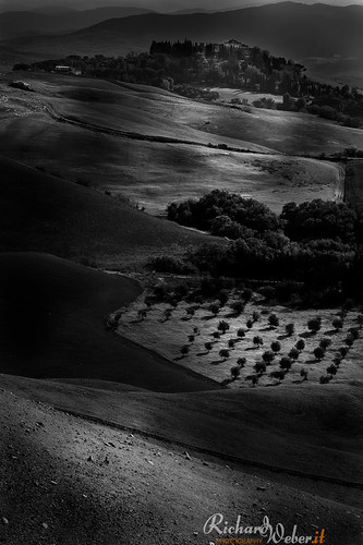 Puzzle.. by Rizzoweb
