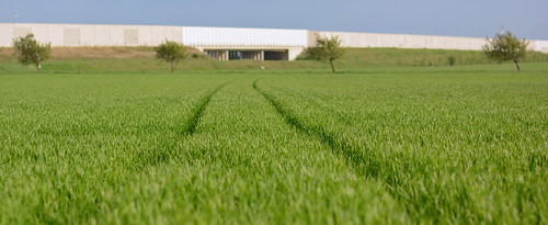 green grass österreich blurred gras grün niederösterreich aut verschwommen kapellerfeld