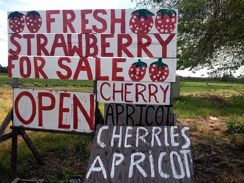 wood signs green art sign fruit season cherry landscape happy countryside stand artwork strawberry open handmade letters orchard fresh business handpainted font type apricot produce lettering roadside stockton signpainter