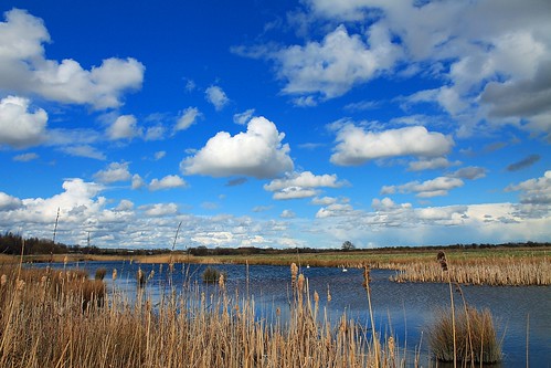 blue sky lake reflection water clouds landscape bedford bedfordshire vista felton lumen 100acre meadowlane robertfelton bedfordrivervalleypark