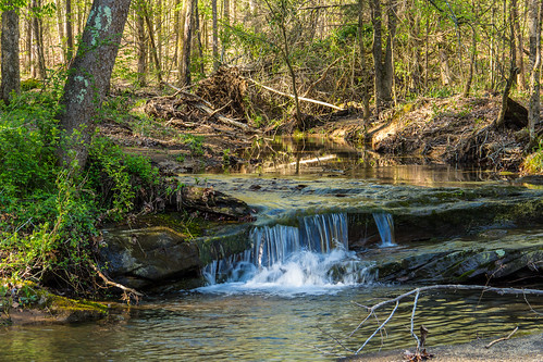 water forest waterfall illinois spring falls national shawnee burden 2013