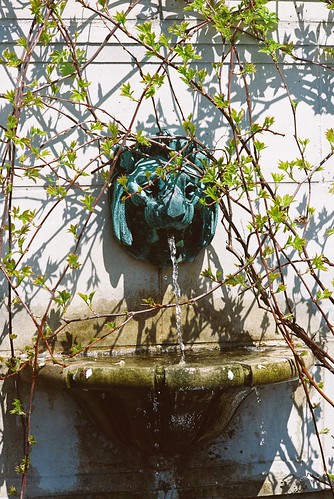 Lion Fountain @ Brooklyn Botanic Garden