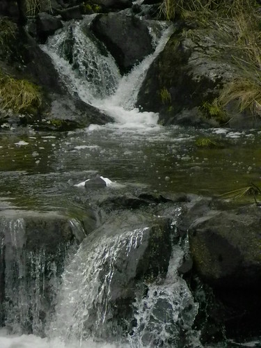 norway norge waterfall hedmark ringsaker moelv nikoncoolpixp100