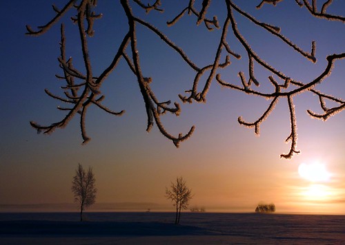 winter sunrise nokia branches 808 kangasala pureview vesanniemi