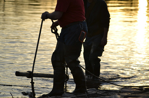 net fishing workers shad springtime delawareriver fishery
