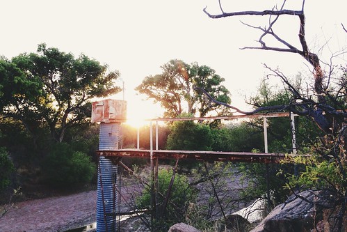 lighting bridge trees sunset arizona sun nature water architecture river landscape photography az structure mysterious afterlight sanpedroriver contention sanpedroripariannationalconservationarea iphoneography vscocam uploaded:by=flickrmobile flickriosapp:filter=nofilter