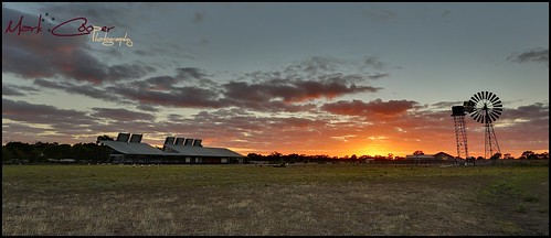 windmill sunrise canon sheep australia nsw 5d outback 2711 hay plains 1740mm murrumbidgee shear ef1740l ef1740mmf40lusm hayplains haynsw 5dmarkiii markcooperphotography