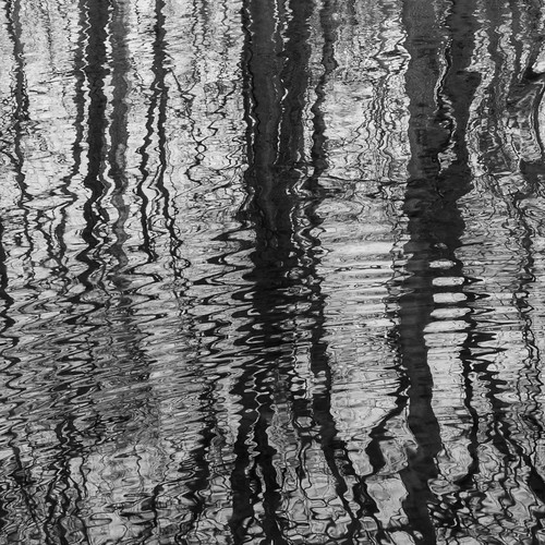 reflection hiking ripples appalachiantrail sonyrx100 tenmilemountain
