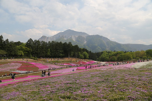 park flower japan 5dmk3