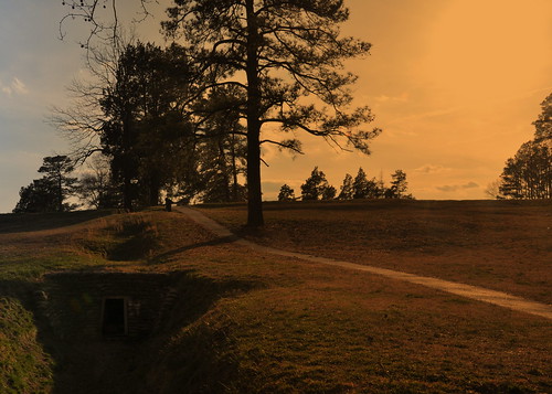 infantry petersburg civilwar crater robertelee 1864