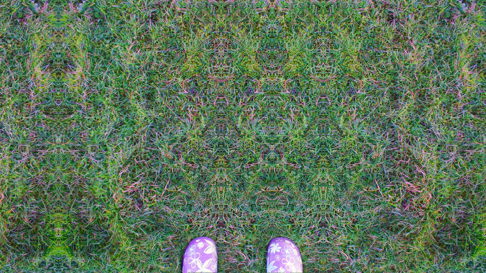 Symmetrical texture repetition - Grass