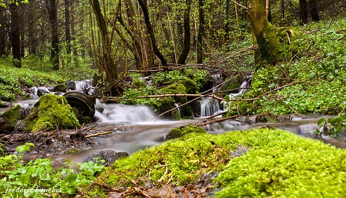 nature eau paysage cascade foret arbre rhonealpes pilat ruisseau pauseslongues parcdupilat