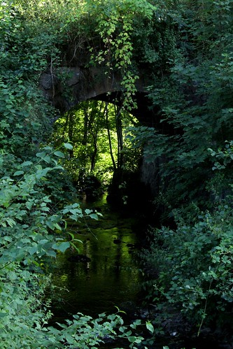 pont végétation rivière eau