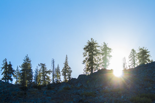 sierranationalforest backpacking camping sunrays sunburst sunlight sunrise trees