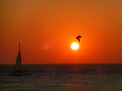 Sunset in Aruba