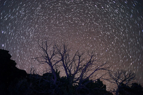 nightphotography trees stars branches gimp composites startrails lovelife awesomesauce polestarviews