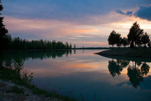 blue sunset orange reflection tree water silhouette