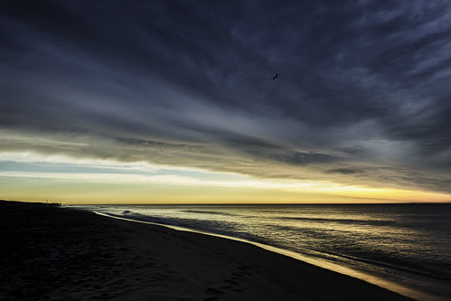 sunrise seasidepark seasideheights seagull ocean sky