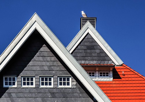 deutschland germany eckernförde eckernfoerde borby haus building dach rooftop möwe seagull
