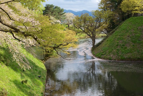 castle japan cherry spring pentax 桜 fukushima aizu da40mmf28limited 会津若松 k200d