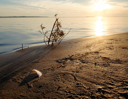 feather sand mi sunset water sky landscape beach beaverisland lakemichigan michigan unitedstates us