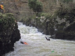 Cenarth Falls (14-Nov-04) Image